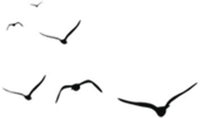 1601171458517672.png 微信圖片_20200927094640.png